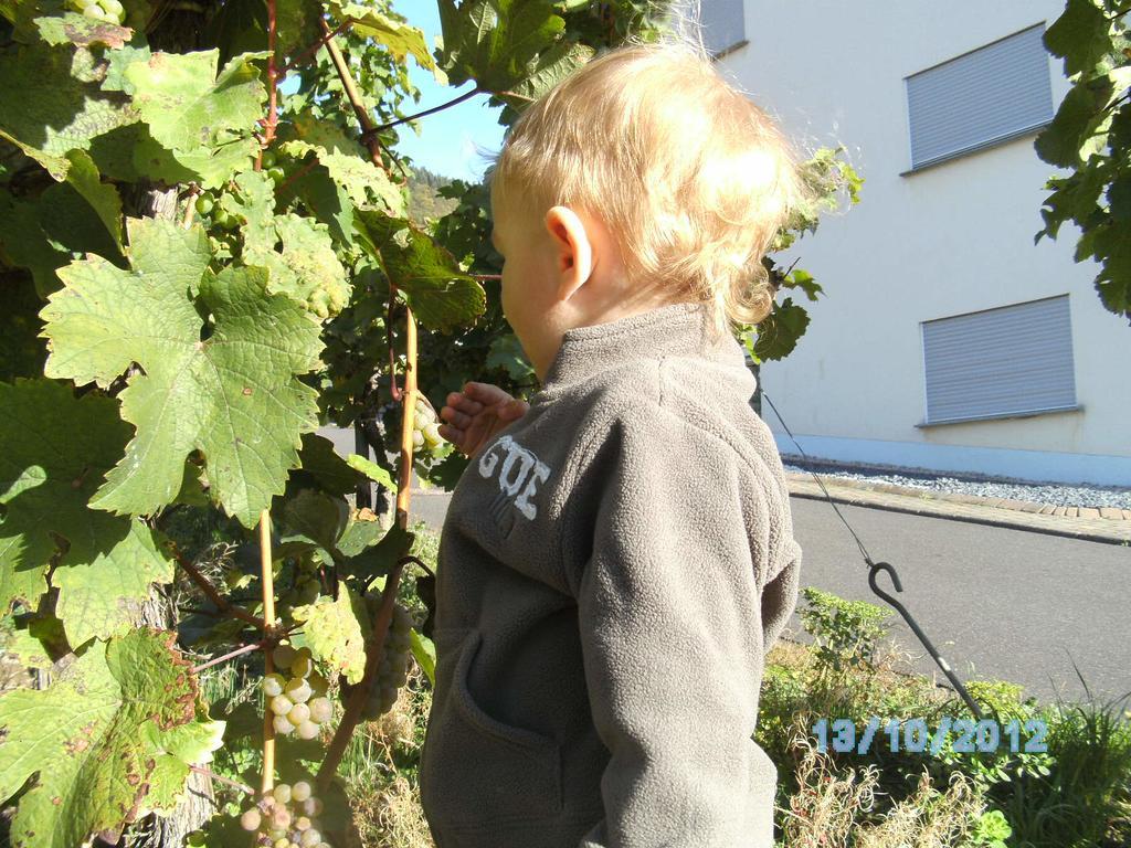 Gaestehaus Heidi Kröv Esterno foto